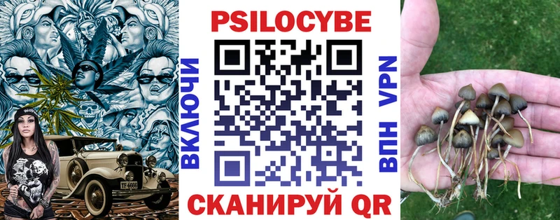 Псилоцибиновые грибы прущие грибы shop состав Сухиничи